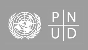 Programme des Nations Unis pour le Développement
